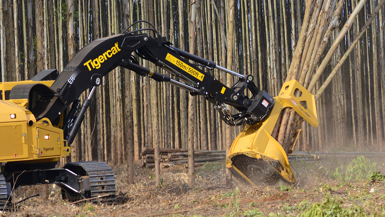 Image of a Tigercat 5300 bunching saw working in the field
