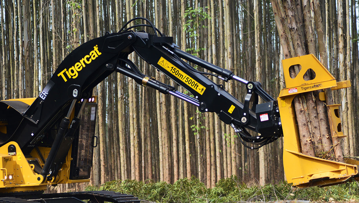 Image of a Tigercat 5300 bunching saw working in the field