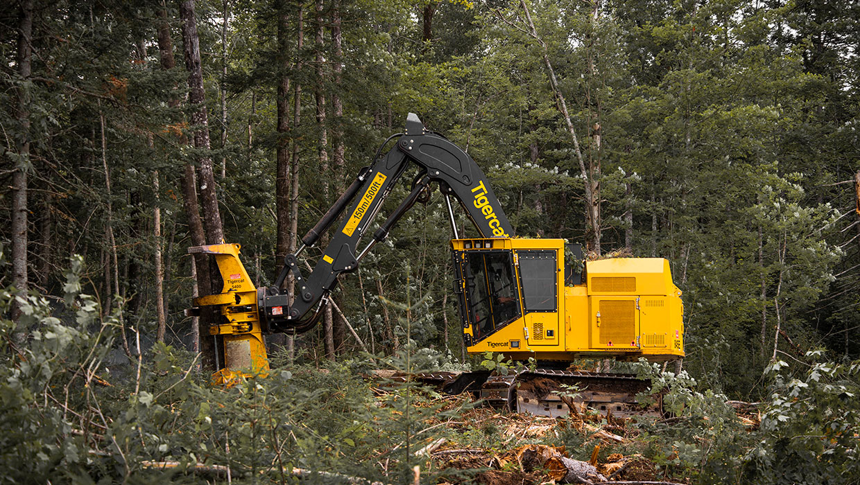 Image of a Tigercat 845E track feller buncher working in the field