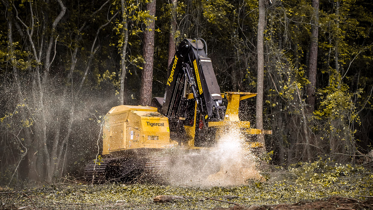 Image of a Tigercat 845E track feller buncher working in the field