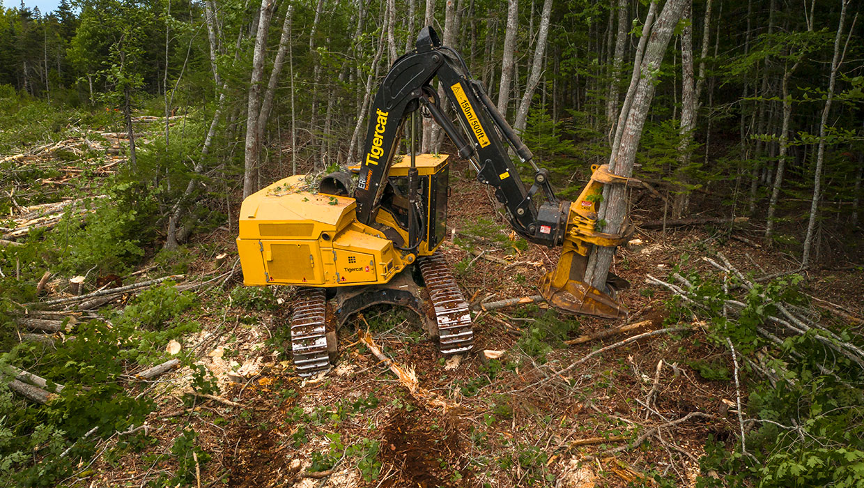 Image of a Tigercat 845E track feller buncher working in the field