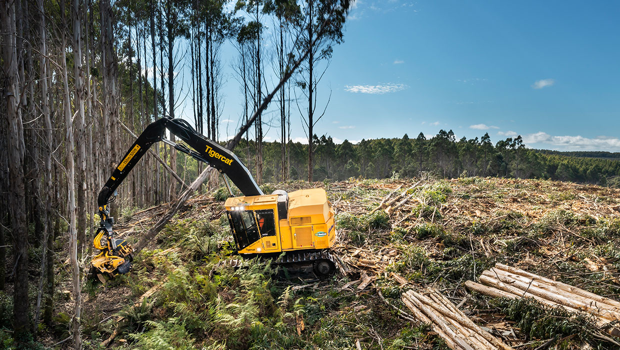 Image of a Tigercat H845E harvester working in the field