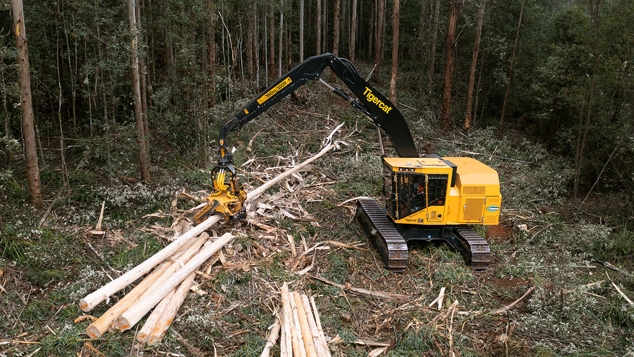 Image of a Tigercat H845E harvester working in the field