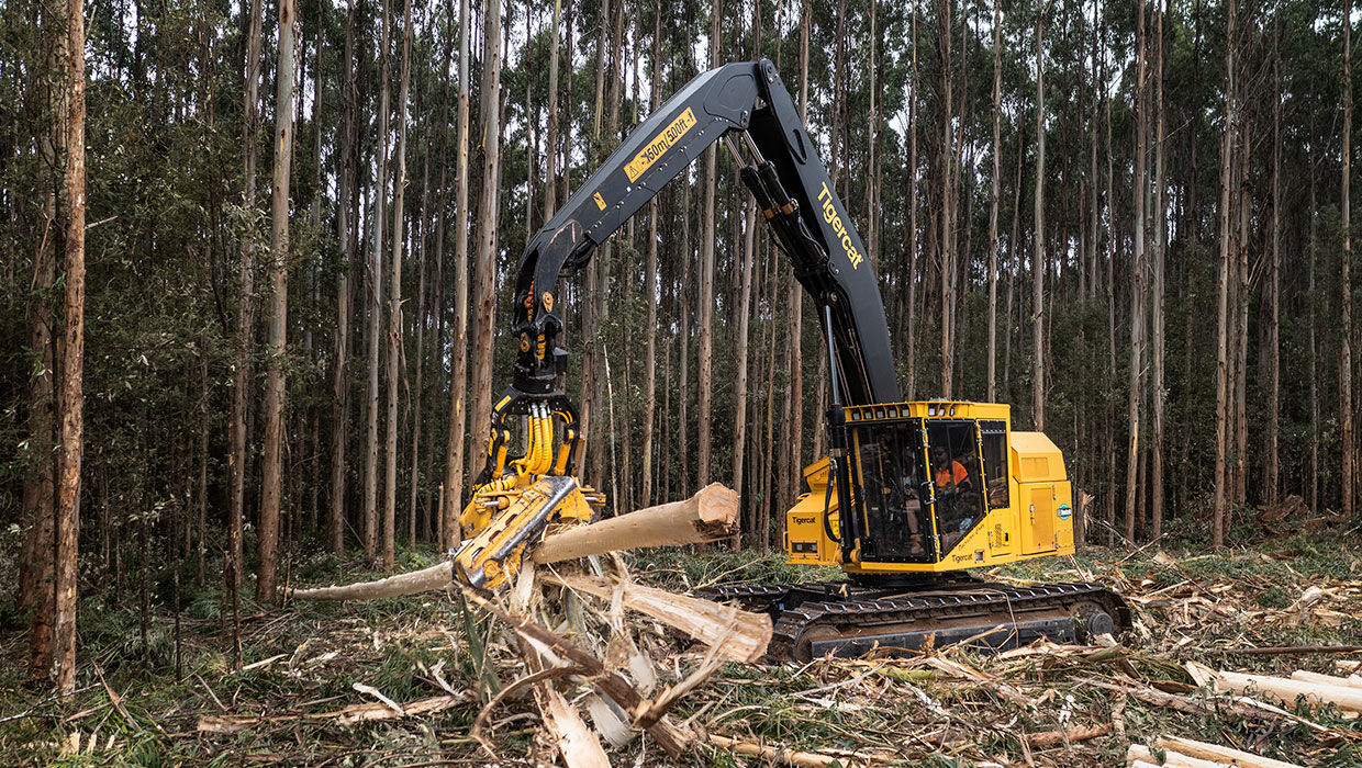 Image of a Tigercat H845E harvester working in the field