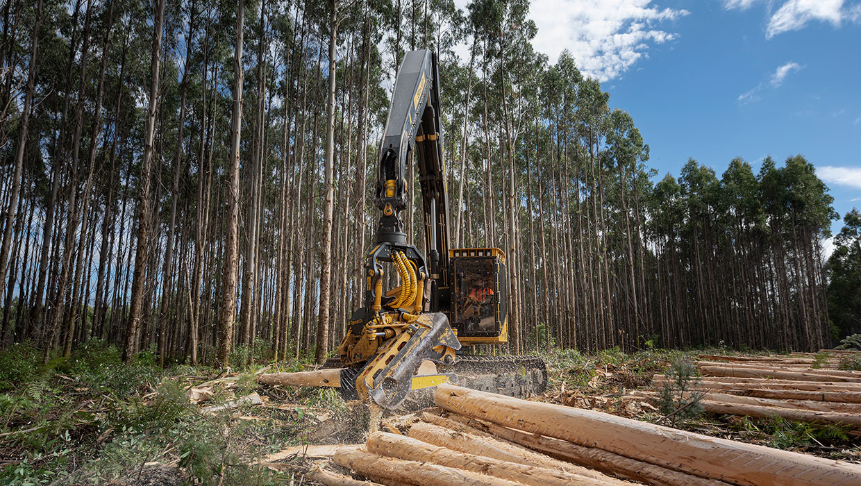 Image of a Tigercat H845E harvester working in the field