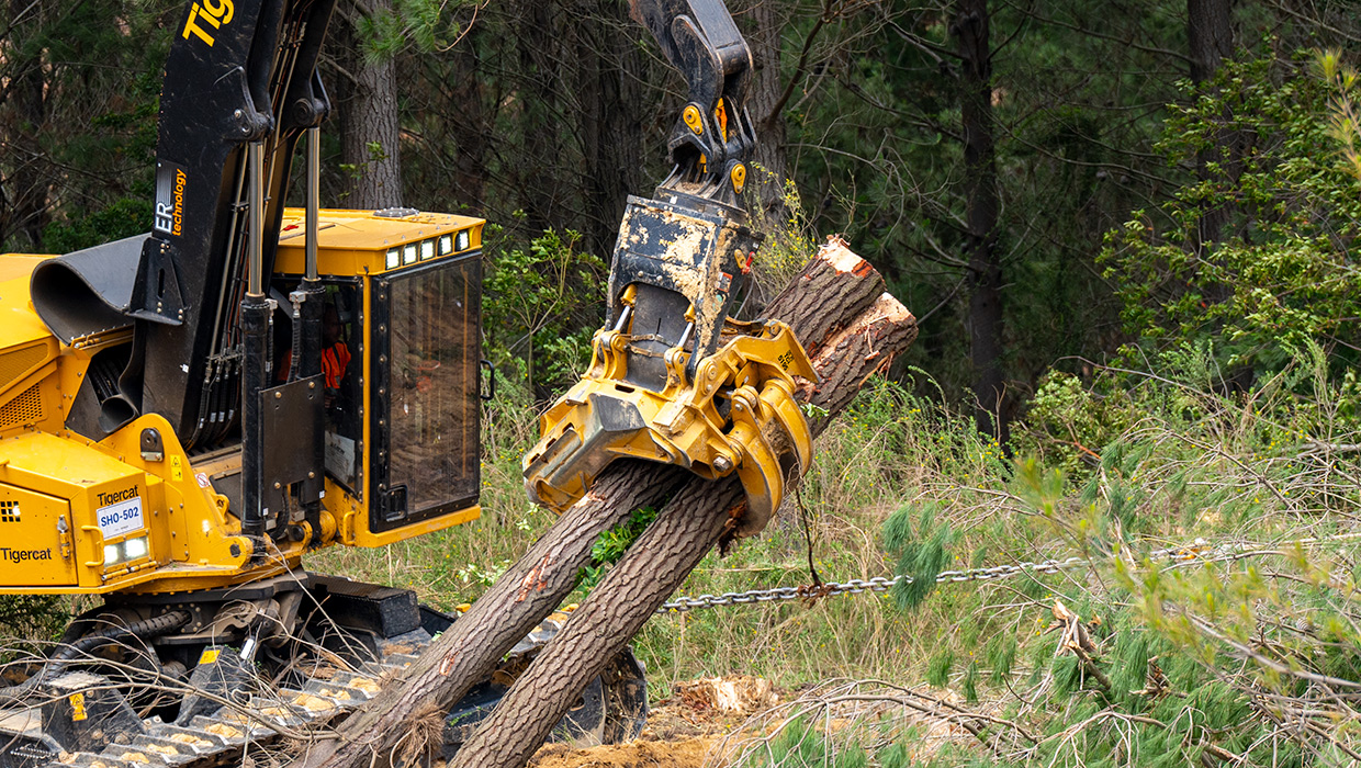 Image of a TCi 5195 directional felling saw working in the field