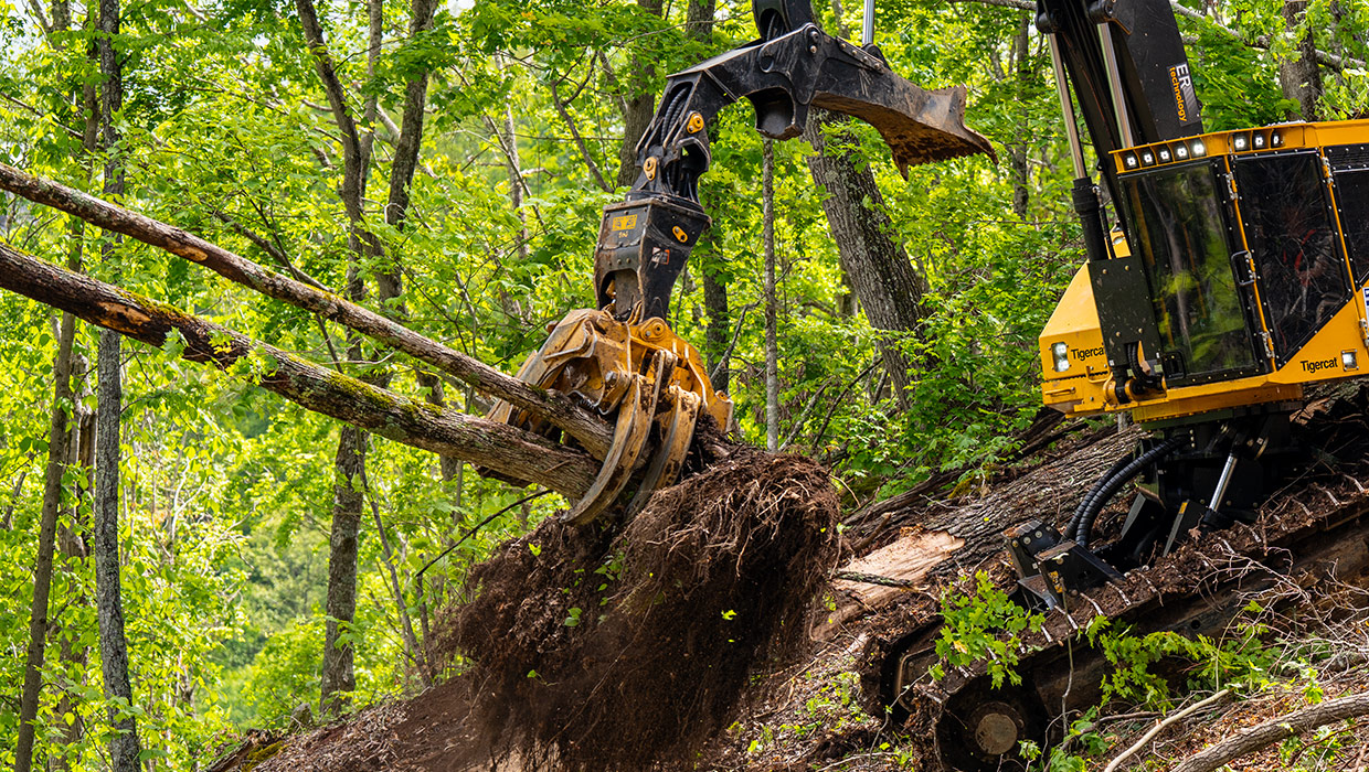 Image of a TCi 5195 directional felling saw working in the field