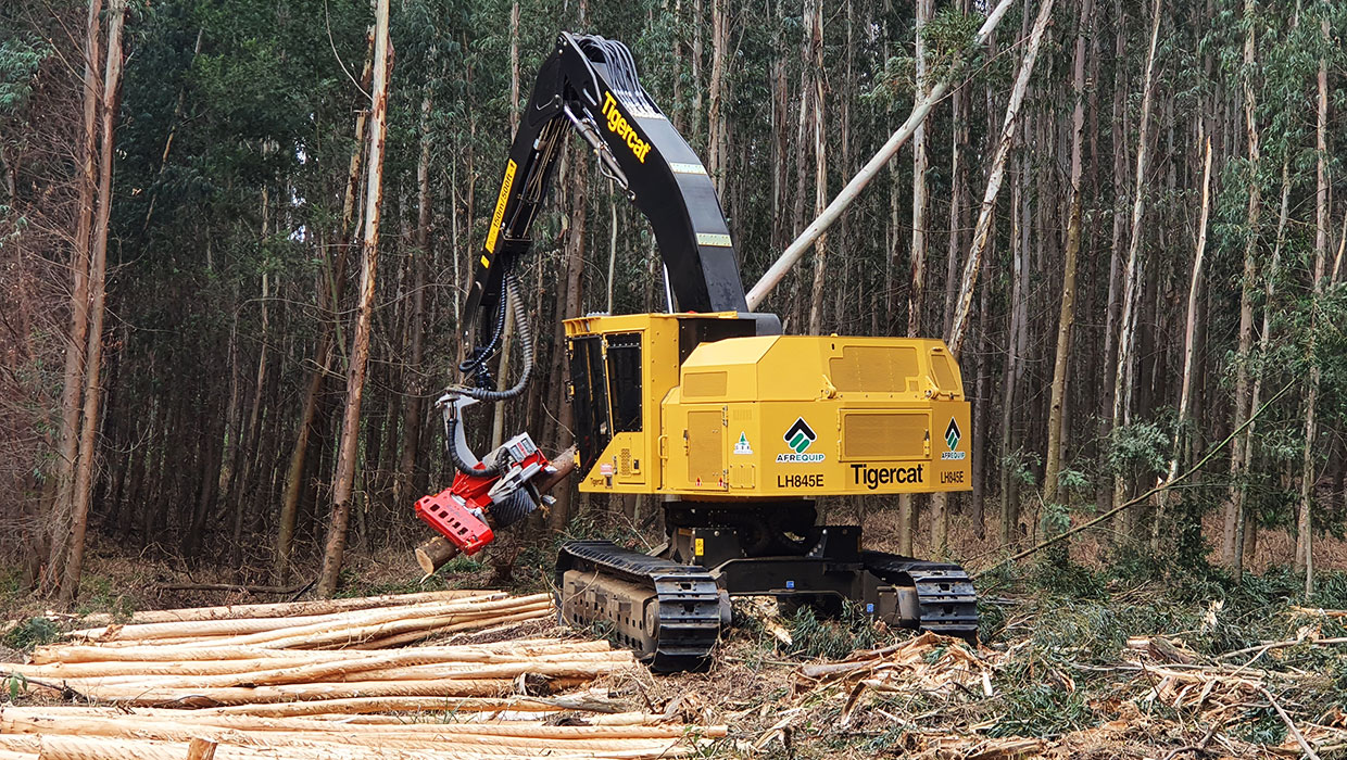 Image of a Tigercat LH845E harvester working in the field