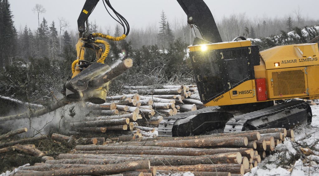 Les façonneuses d'Almar travaillent sur des épinettes difficiles à ébrancher. Une abatteuse-façonneuse façonne une bille par temps froid, les billes de longueur préétablie étant bien empilées dans une rangée près du lieu de travail de l'opérateur. 