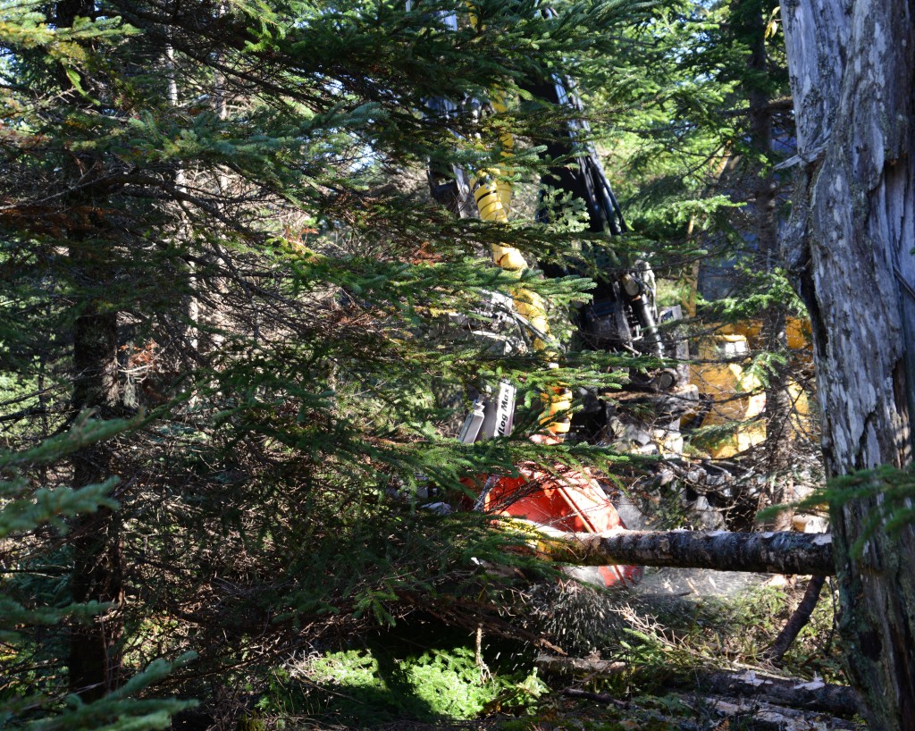 Kranen på 9,7 m har en lutande bas som gör det möjligt för föraren att nå runt stående träd. Föraren Jacob Curry bearbetar stockar till närmaste skotarspår. Skotarspåren står 30 m ifrån varandra.