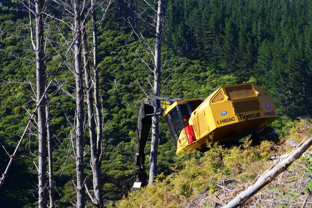 A LH855C de Peter e Tim Mold cortando para um yarder em terreno íngreme.