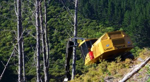 Peter and Tim Mold’s LH855C felling for a yarder on steep terrain.