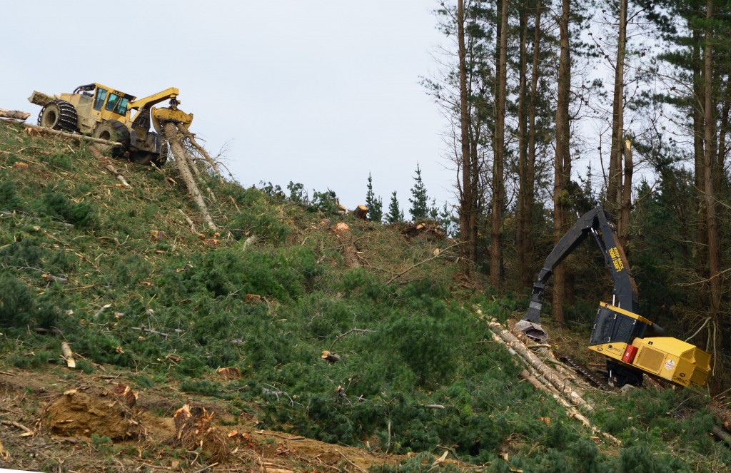 Renner’s H855C fells and shovels uphill to the 630C skidder.