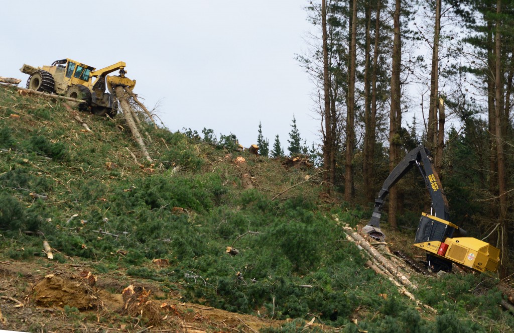 A H855C da Renner corta e carrega madeira em aclive juntamente com o skidder 630C.