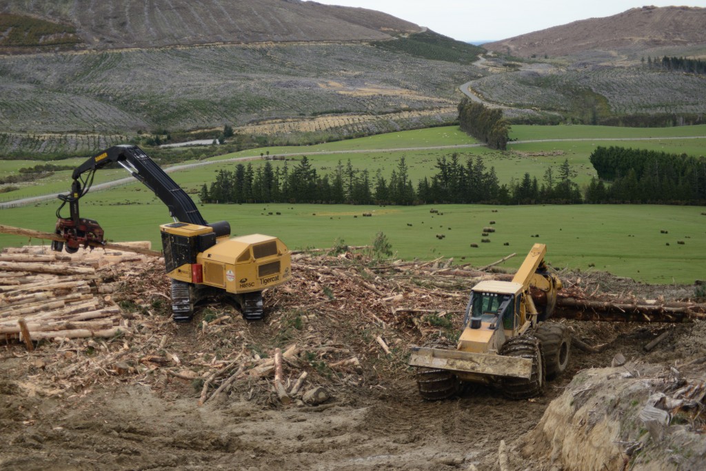 A Renner Logging opera uma H855C Tigercat com um HTH624C na beira da estrada, um skidder arrasta uma carga de madeira em direção ao harvester.