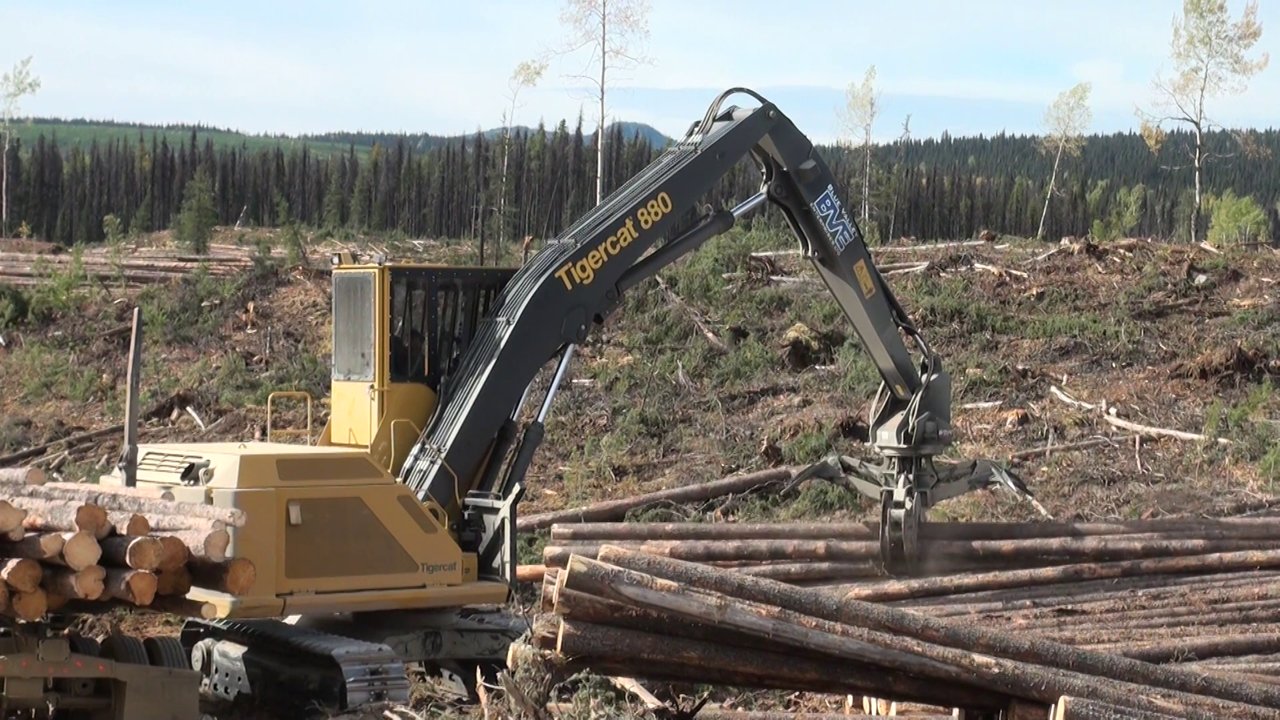 tigercat 880 logger tigercat logger equipment