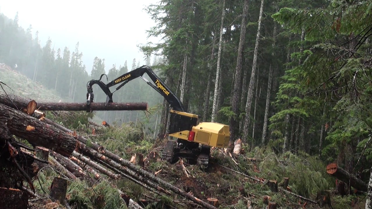 tigercat ls855c shovel logger