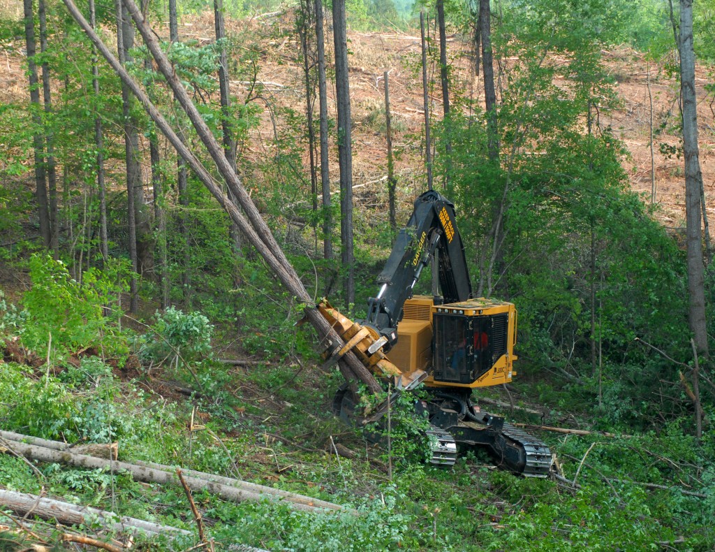 L'abatteuse-empileuse L830C de TDK utilisée dans un peuplement mixte de l'est du Mississippi.