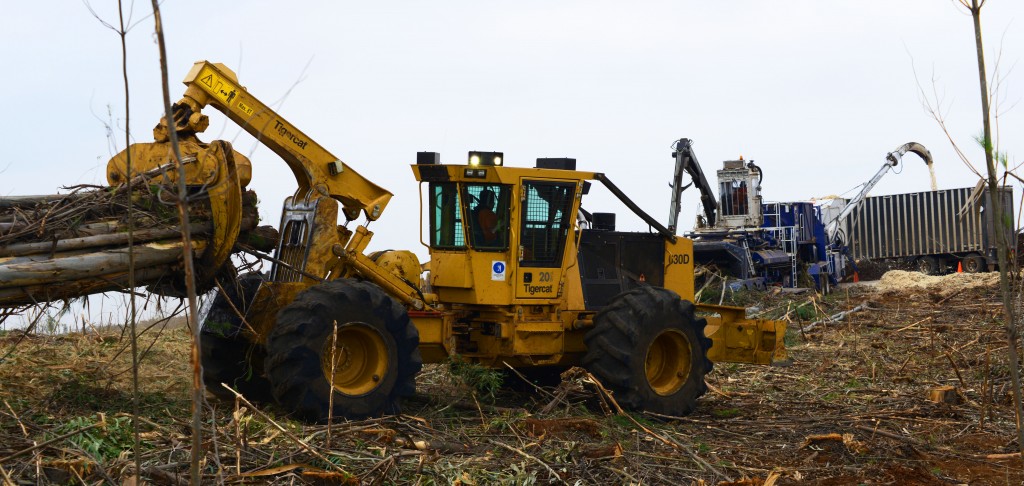 A Tigercat 630D skidder with a full grapple of wood. 