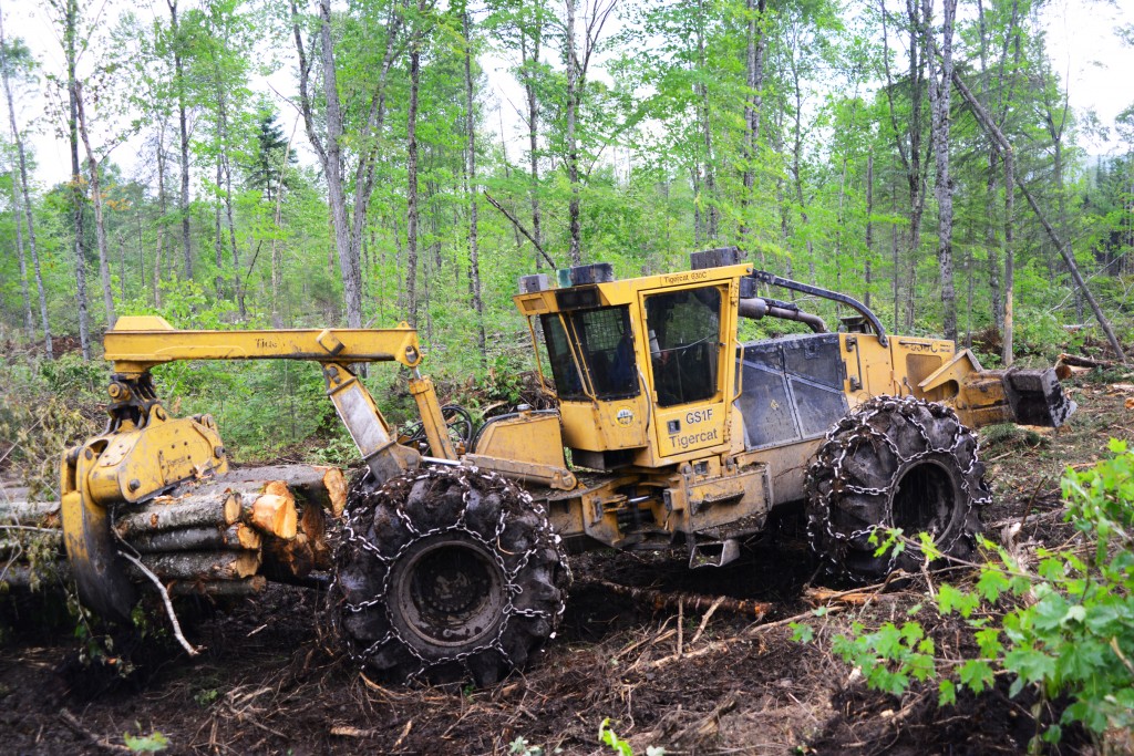 Трелевочный трактор Tigercat везет древесину через лес.