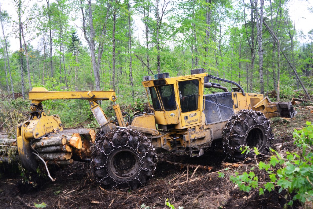 Un débardeur Tigercat traînant du bois à travers la forêt.