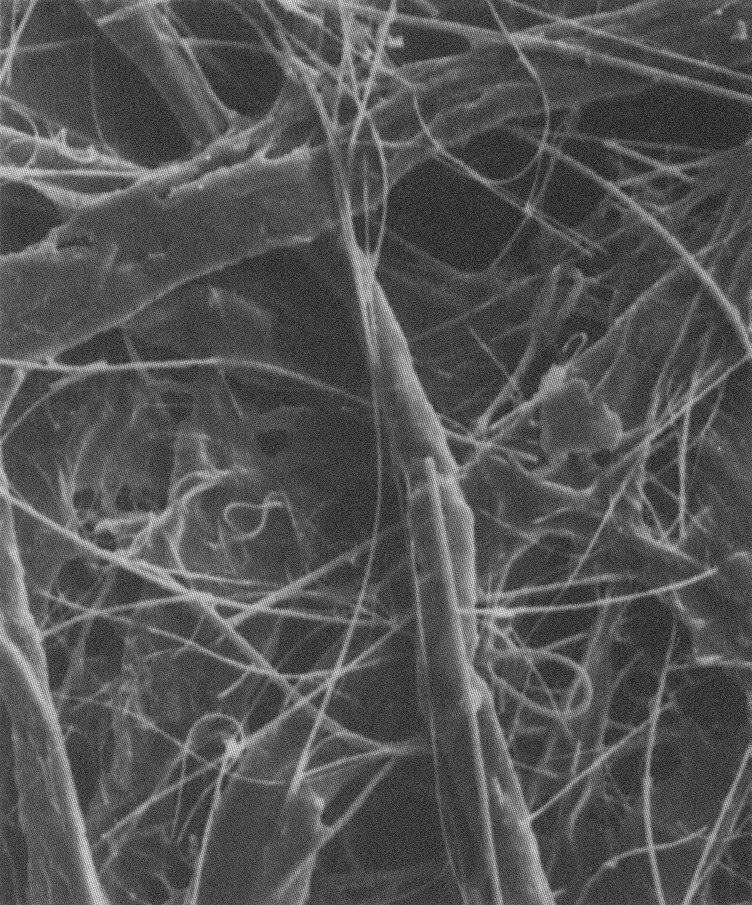 Изображение волокон под микроскопом