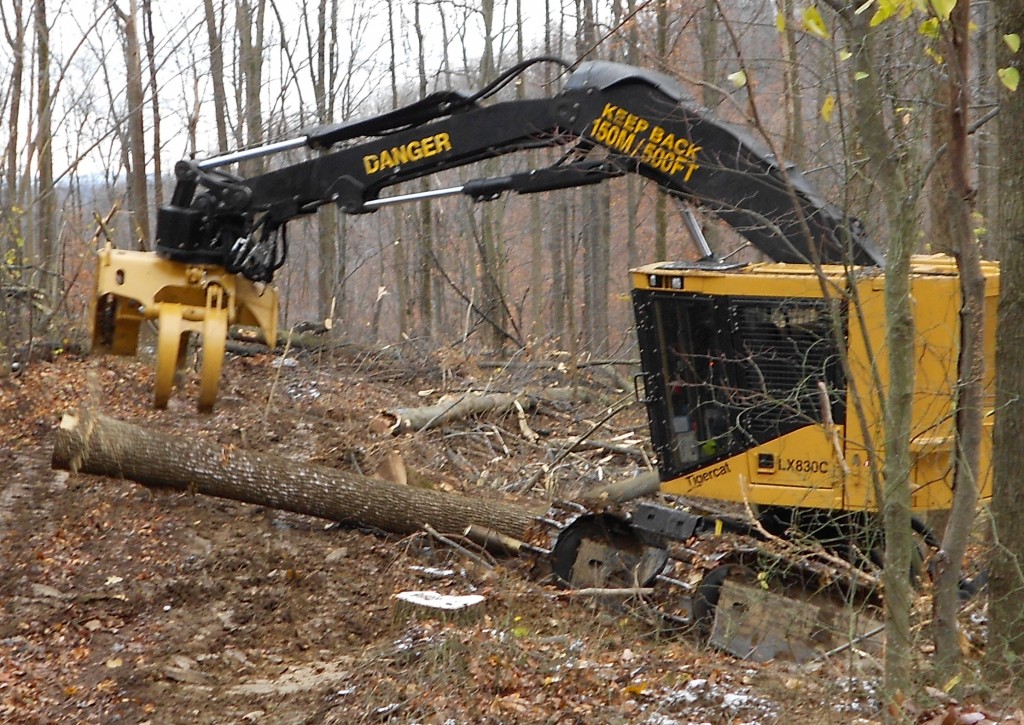 LX830C shovel logs in the forest