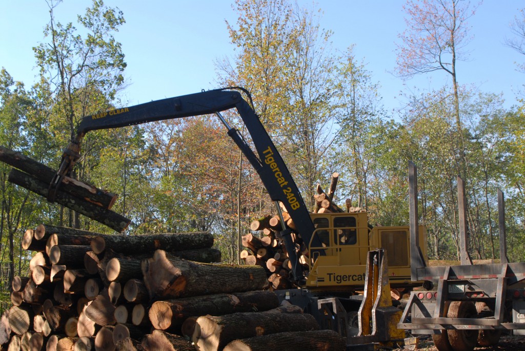 Jimmy’s 12 000 hour 240B looks like new as it piles cut-to-length logs on top of eachother