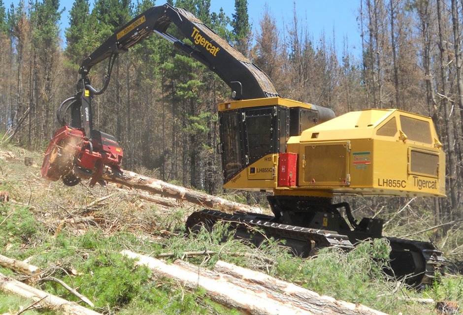 Harvester sobre orugas LH855C Tigercat de Sunchip Group con un cabezal cosechador HTH624C Waratah que opera en Tumut, Nueva Gales del Sur, Australia.