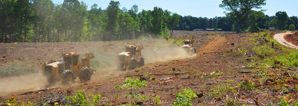 Herding the workhorses out of the barn; 3 Tigercat wheel feller bunchers drive down a dirt road.