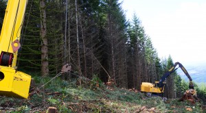 The operator controls the winch as he descends or ascends the slope, preventing sliding and allowing for downhill felling.