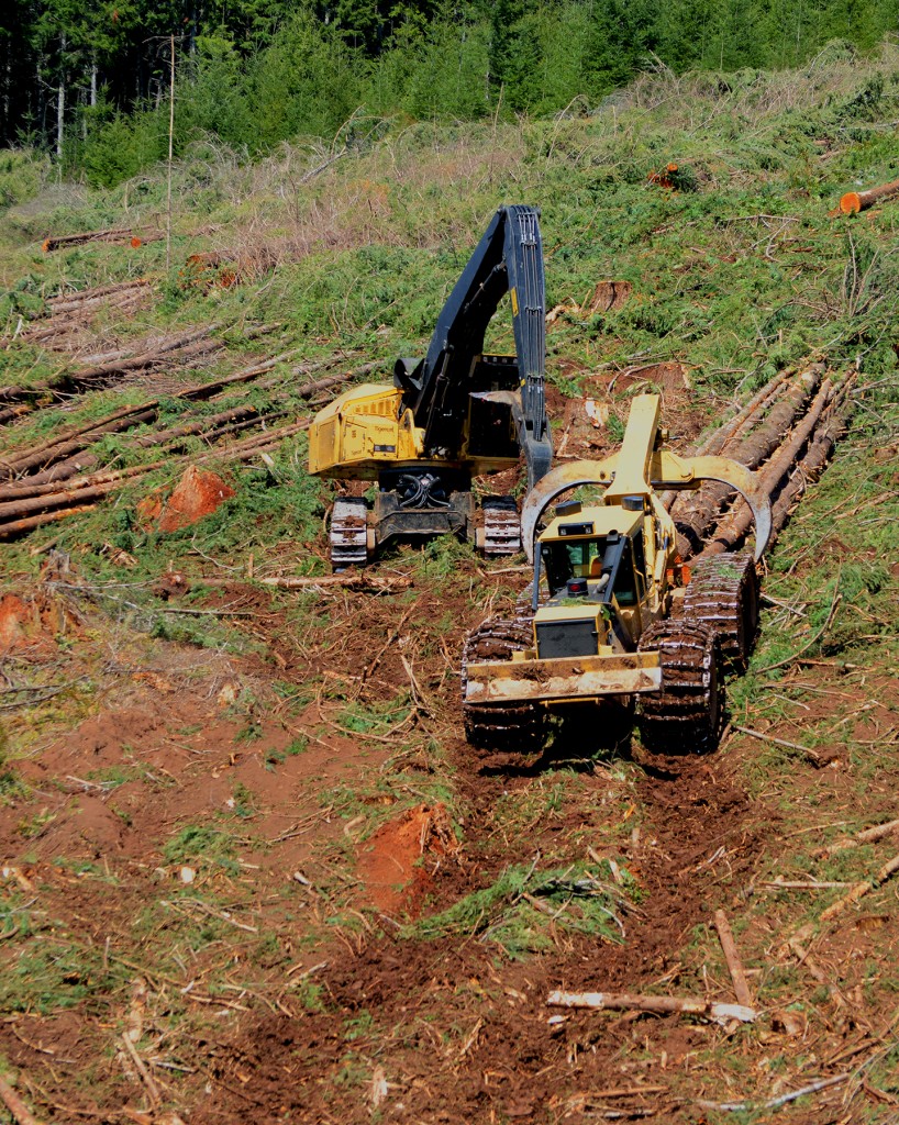 A skidder on a steep hill drops a load of logs next to a track machine. 