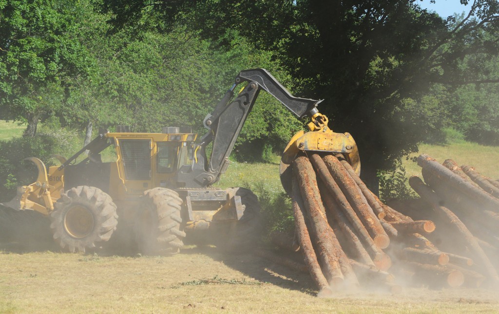 La flèche pivotante permet de former des piles hautes rapidement et facilement lorsque l'espace est restreint. Le modèle 610E soulève une charge de billes jusqu'au sommet de la pile à l'aide de son grappin pivotant. 