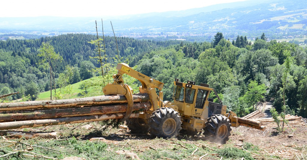 Le débardeur à grappin 610E est doté de pinces de préhension sur la lame avant pour trier les troncs et transporter le bois court.