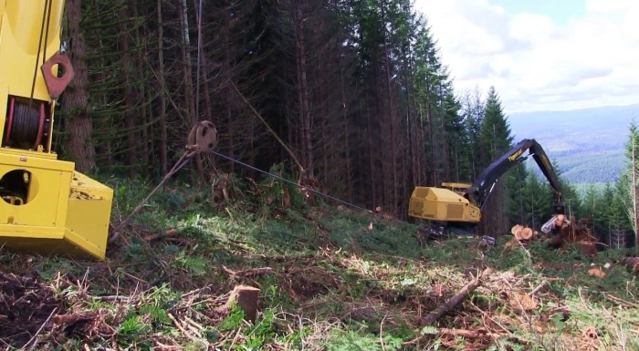 Scheff Logging View Tigercat videos of Machines Felling and Shovel Logging | Tigercat TV
