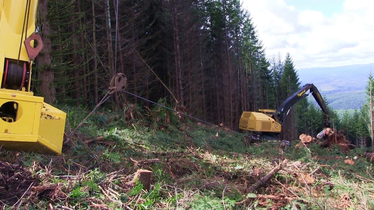 Krume Logging | Cable Assist Logging | Tethered Logging | Tigercat