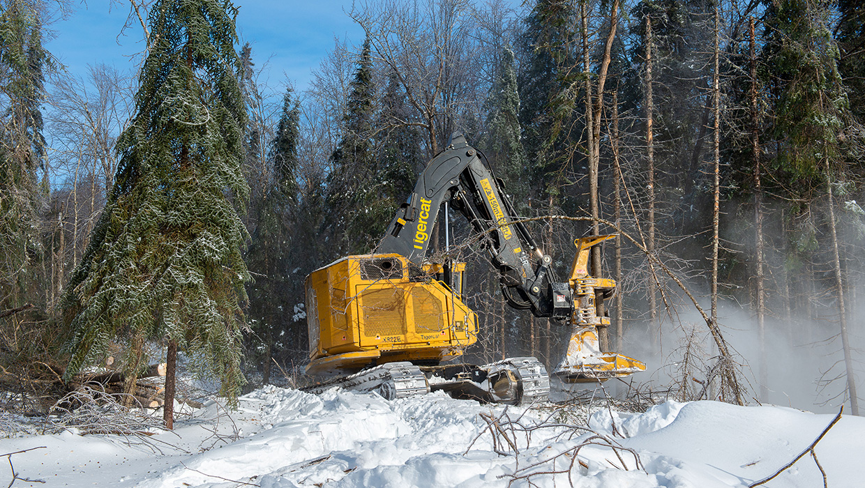 Image of a Tigercat X822E feller buncher working in the field