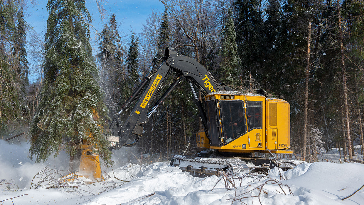 Image of a Tigercat X822E feller buncher working in the field