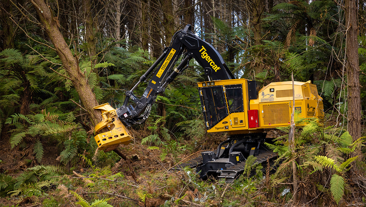 Image of a Tigercat L855E feller buncher working in the field