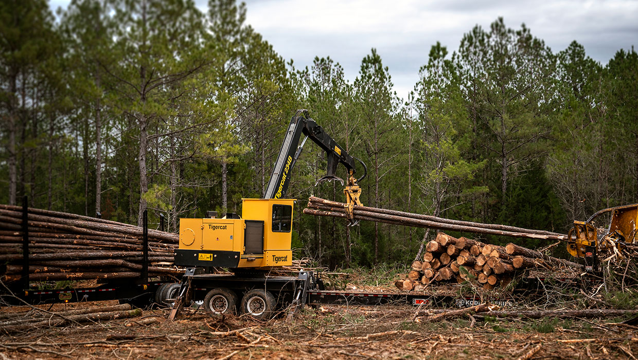Image of a Tigercat 234B knuckleboom loader working in the field