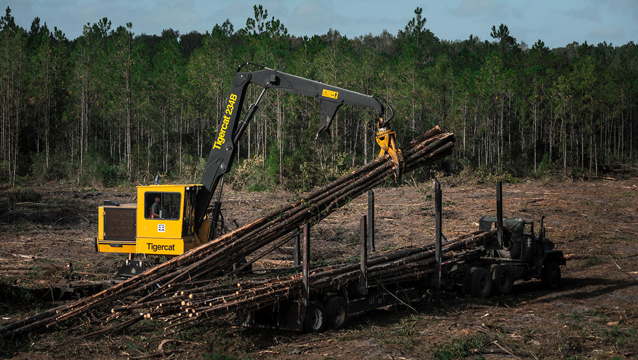 Image of a Tigercat 234B knuckleboom loader working in the field