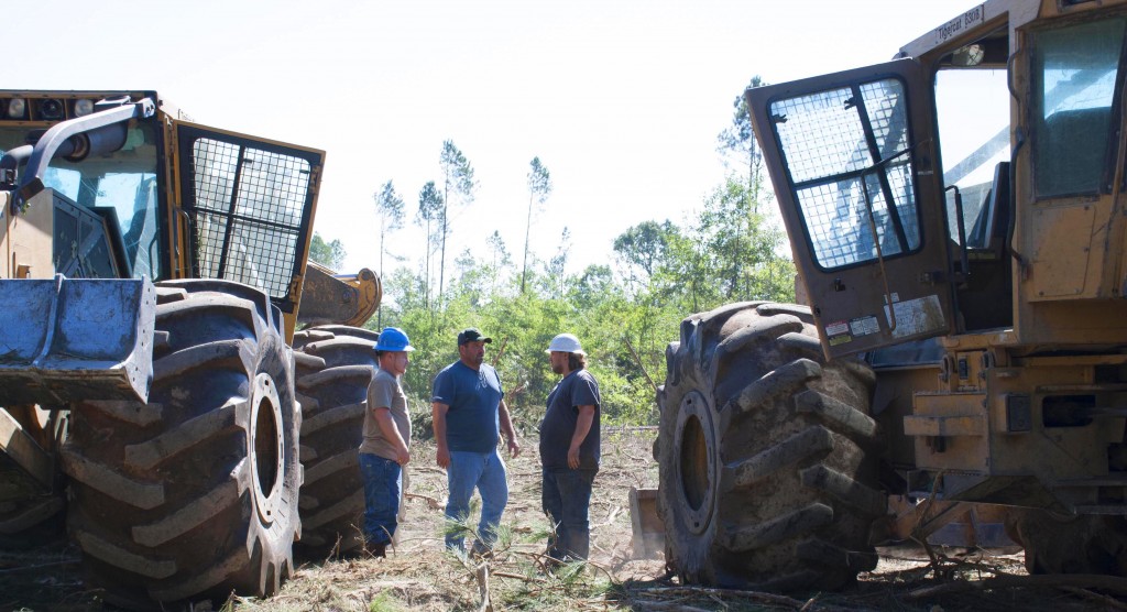 Matt Wiggins and his son Mike Wiggins operate the Tigercat skidders on Michael’s logging site.