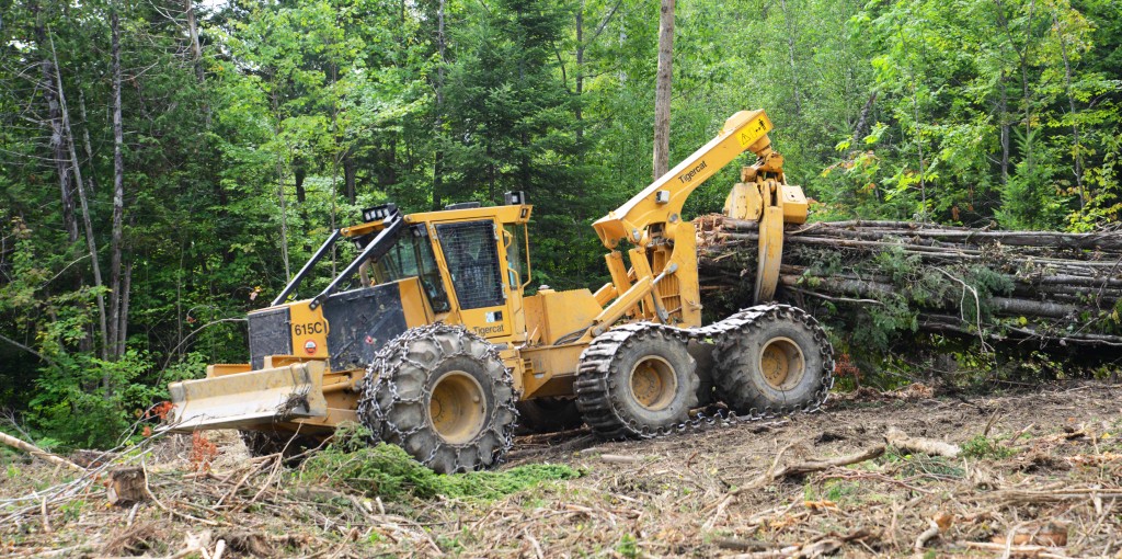 Трелевочный трактор Tigercat 615C везет древесину в захвате. 