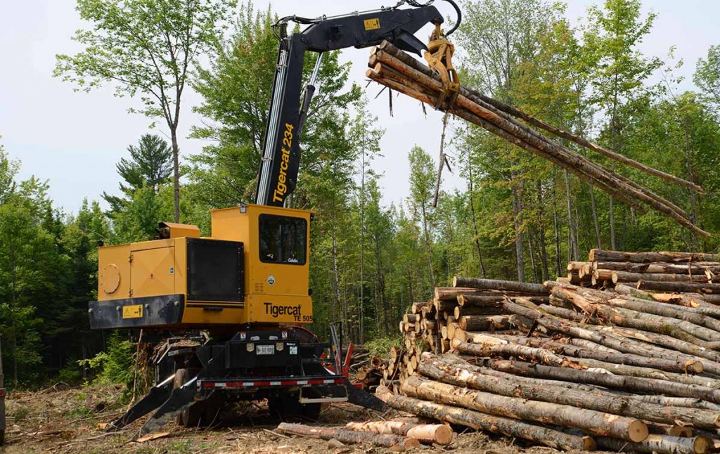 Treeline opera los cargadores  234 de Tigercat en sus aplicaciones de cosecha y en los patios de madera. Todos están equipados con talones móviles.