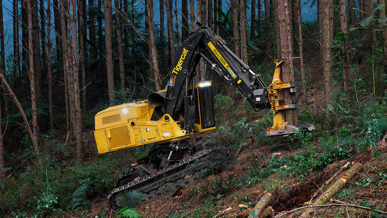 Image of a Tigercat L855E feller buncher working in the field