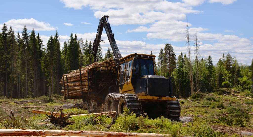 1075B forwarder fully loaded on a harsh sunny day.