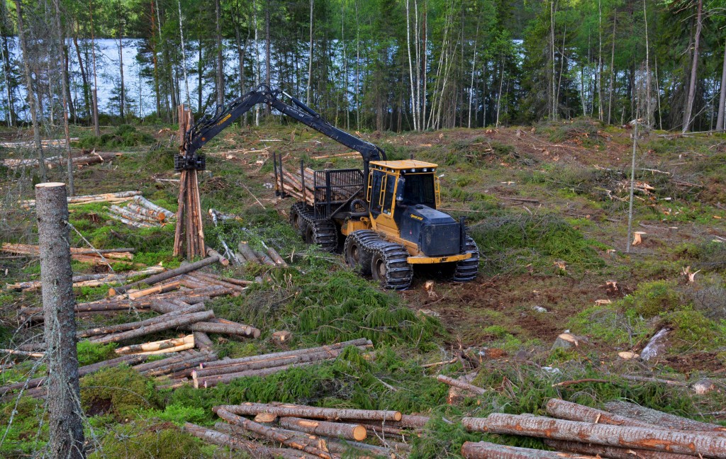 Tigercat 1075B-skotare som lastar och arbetar sig uppför en sluttning.