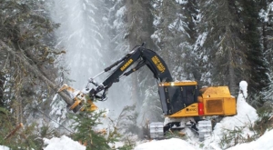 Tigercat feller buncher in winter operations conditions