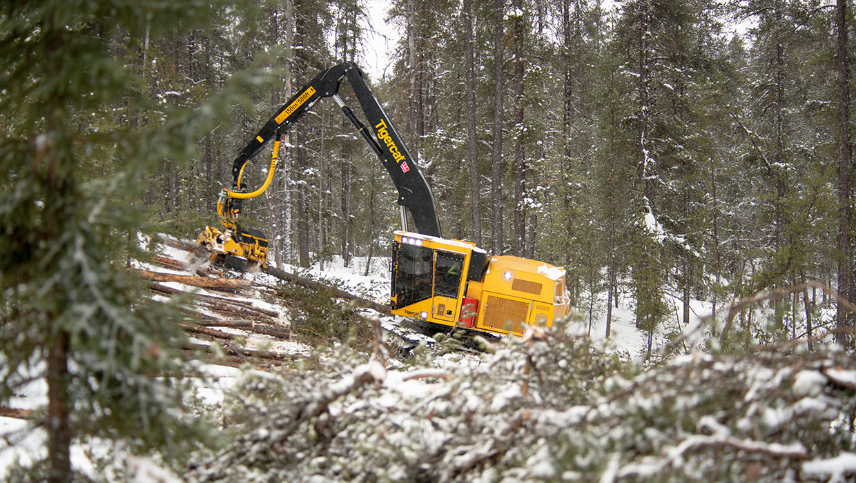 Image of a Tigercat H855E harvester working in the field