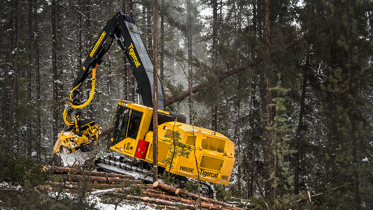 Image of a Tigercat H855E harvester working in the field